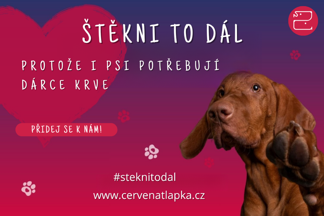 Kampaň Štěkni to dál 